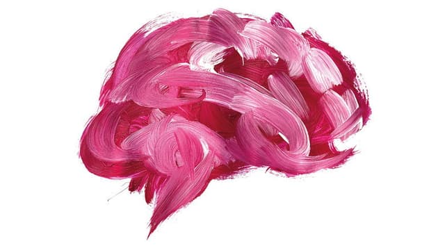 The Brain