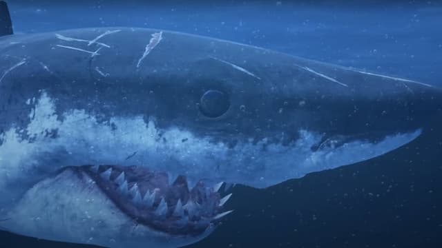 Mummy Shark