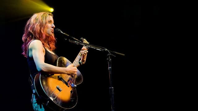 Ani DiFranco - Live at Babeville