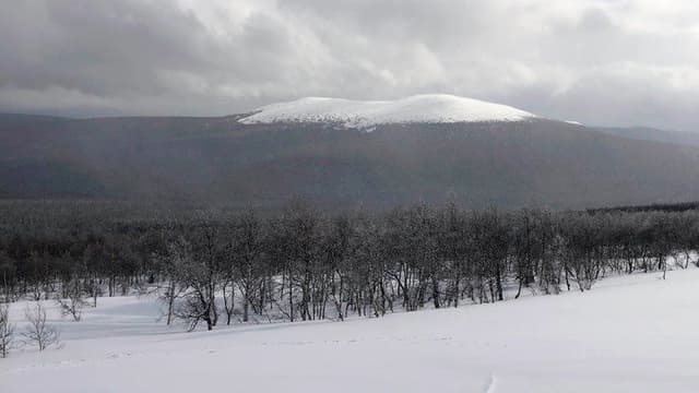 The Dyatlov Pass Incident