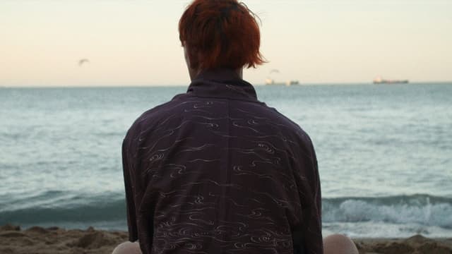 Howls to the Harbour