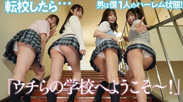 PFES-101 Panty-Flashing Harem Academy: I'm the Only Guy!? Seductive Panty-Flashing Sex with All the Girls in My Class!