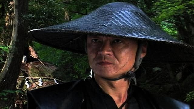 Ninjutsu Chronicles: NINJA STAR