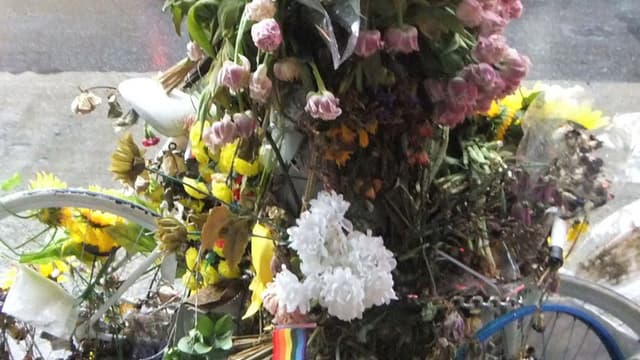 Flowers and Bike