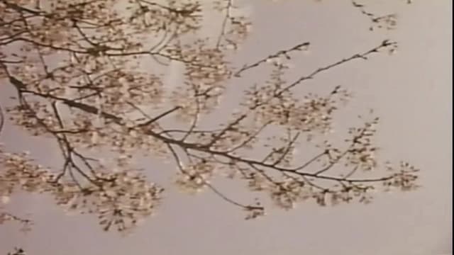 Wakaoku-sama: Futomono-biraki