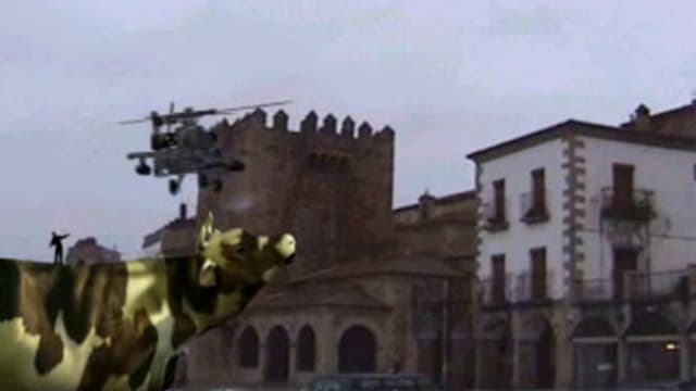 Cows Attack!!