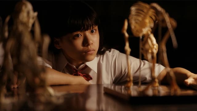 Deep Bones