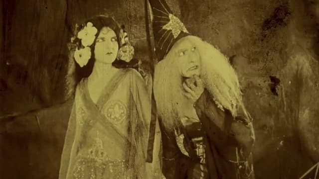 Folly of Vanity
