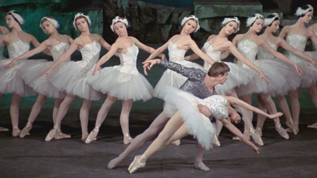 Swan Lake