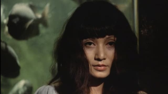 A Japanese Demon