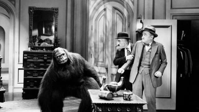 The Gorilla