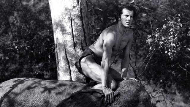 Tarzan and the Green Goddess