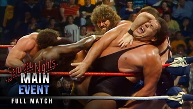 WWF 20-Man Battle Royal 1987