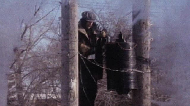 The Great Electrical Revolution