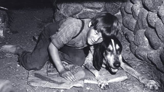 A Boy and His Dog
