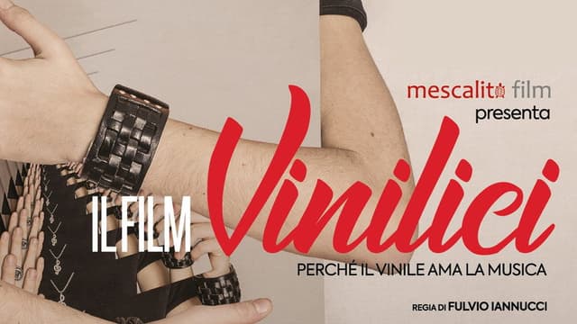 Vinilici - Perché il vinile ama la musica