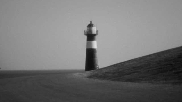 The Albatross