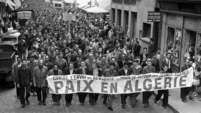 They Chose Algeria