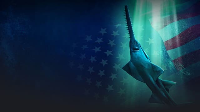 Alien Sharks: Untamed America