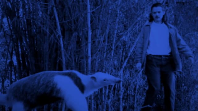 The Longest Night