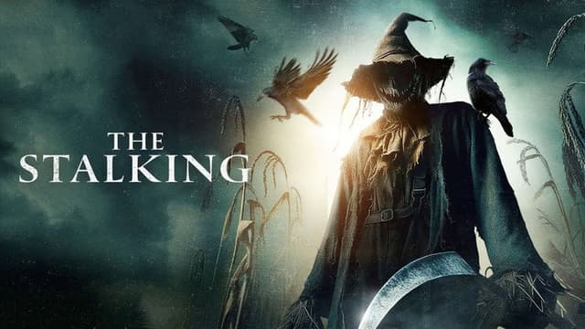 The Stalking