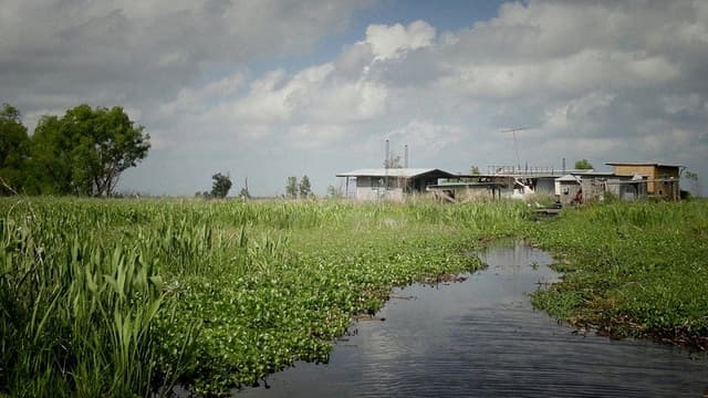 Wild Mississippi
