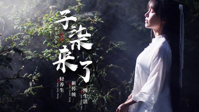 李子柒