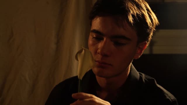 Narciso