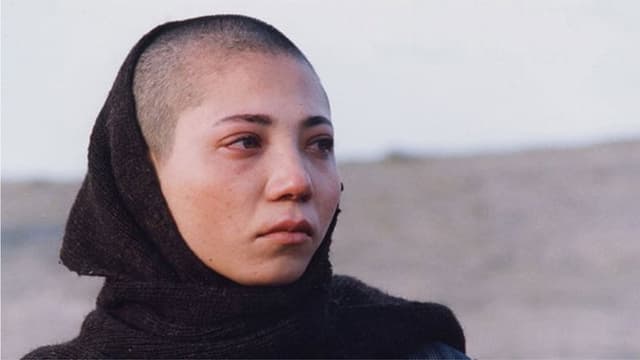 Daughters of the Sun