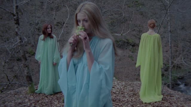 Girl Slaves of Morgana Le Fay