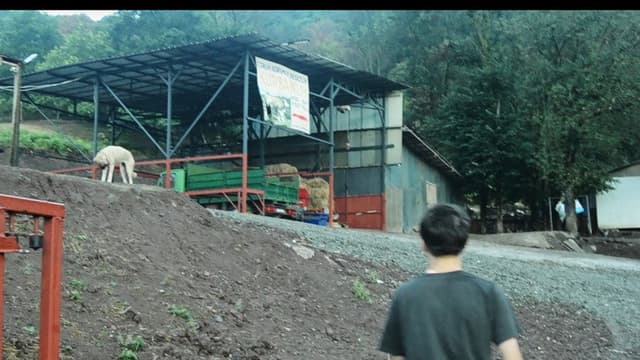 Gri Zaman