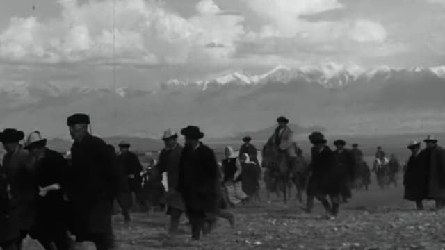 Mother's Field
