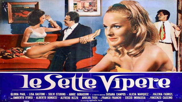 The Seven Vipers (The Latin Husband)