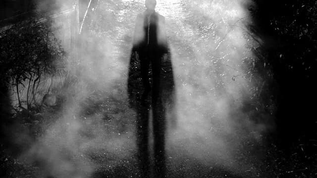 The Girl with Two Faces