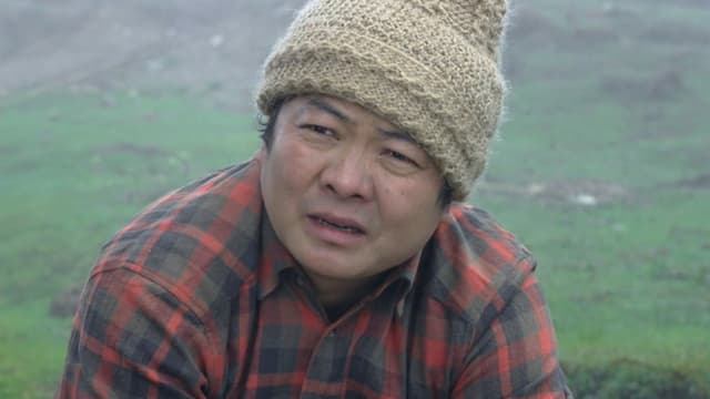 Appa