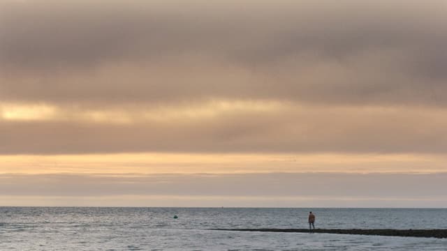 Sharks in Colwyn Bay