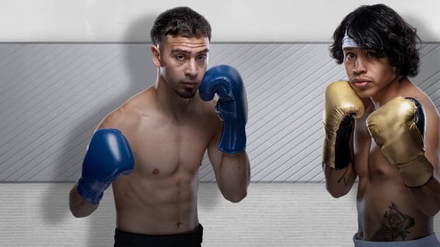 Zuffa Boxing 02