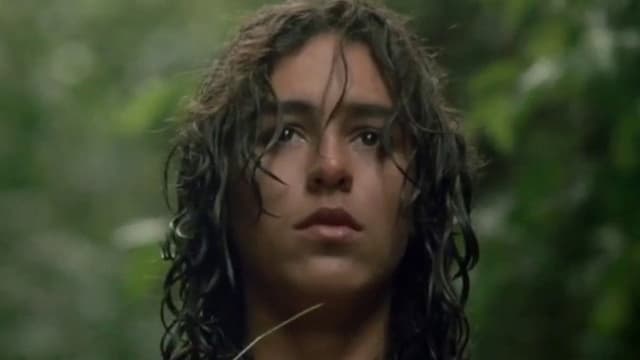 The Tigress