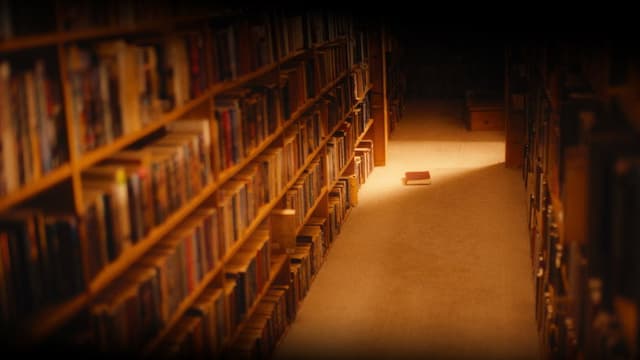 A Message to the Author