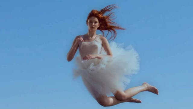 The Model