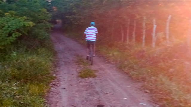 Me Dê Sua Mão, Iremos Para Floresta
