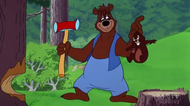 Busybody Bear