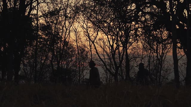 Terra e Luz