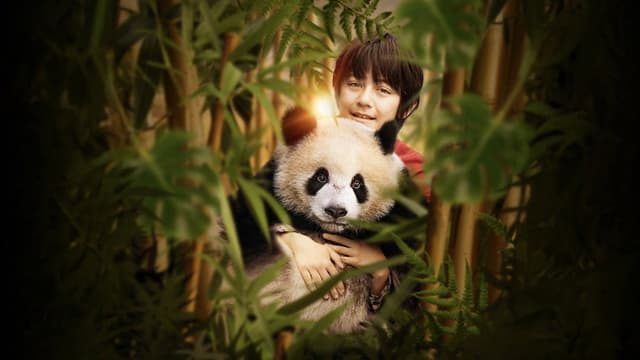Moon the Panda