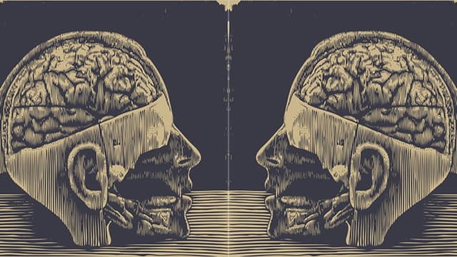 Lobotomy, or the Blinding Creation of Moniz