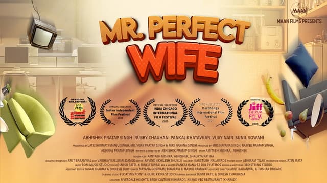 Mr Perfect Wife