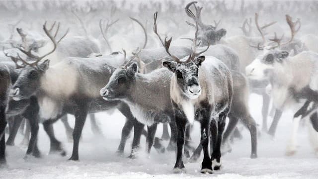 On Thin Ice