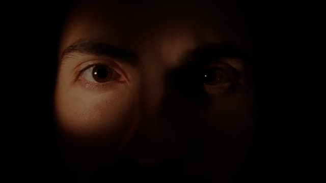 The Second Self