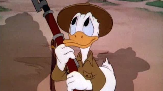 Donald Gets Drafted