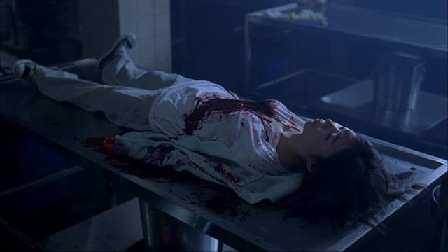 Cadaver
